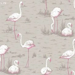 Обои Cole & Son Contemporary Selection