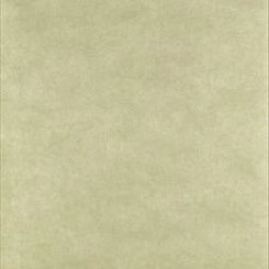 Обои Sanderson Parchment Flowers