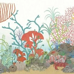 Обои Cole & Son Whimsical