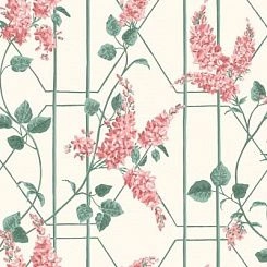 Обои Cole & Son Botanical Botanica
