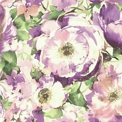 Обои York Watercolors