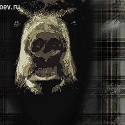 Фотообои Wall&deco Gio Pagani 11