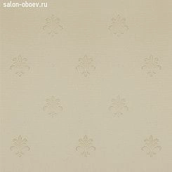 Обои KT Exclusive  Solomon
