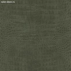 Обои Rasch African Queen III