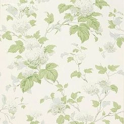 Обои Colefax and Fowler Jardine Florals