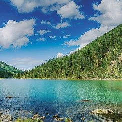 Фрески/Панно ORTOGRAF