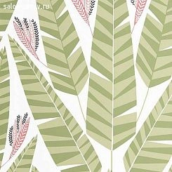 Обои Miss Print Pioneer