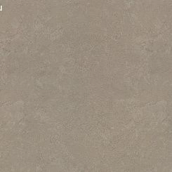 Обои Rasch Metal Spirit 1.06