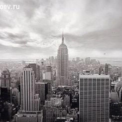 Фотообои Rebel Walls No 1 Panorama