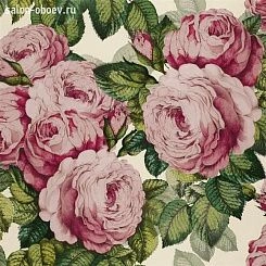 Обои John Derian Picture Book
