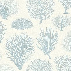 Обои Cole & Son Curio
