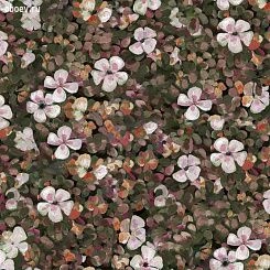 Обои Coordonne Naturae