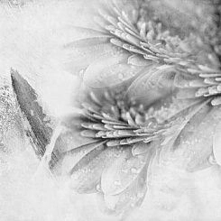 Фотообои Inkiostro Bianco Creative Thinking