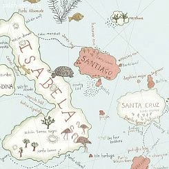 Обои Sanderson Voyage of Discovery