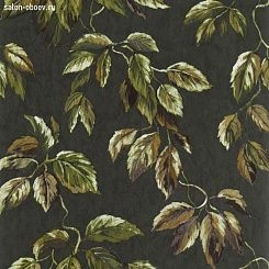 Обои Designers Guild Minakari