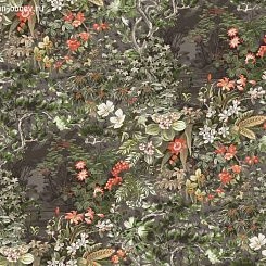 Обои Cole & Son Botanical Botanica