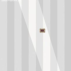Обои JWall Wonder