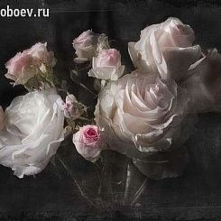Обои KOMAR KOMAR Фотообои