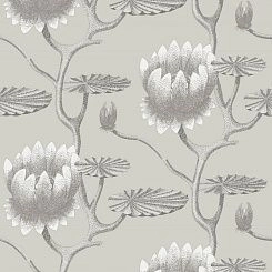 Обои Cole & Son The Contemporary Collection