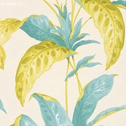 Обои Paint & Paper Library Botany