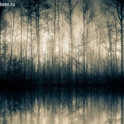 Обои Decoprint NV Mood
