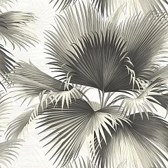 Обои KT Exclusive  Palm Springs