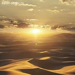 Обои Marburg DUNE
