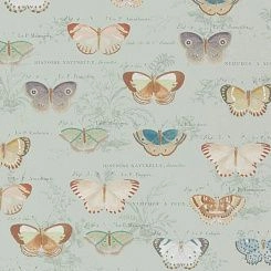 Обои Designers John Derian - Picture Book II