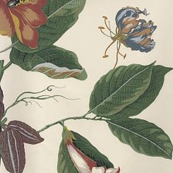 Обои Pierre Frey Boussac Wallpapers I