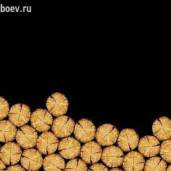 Фотообои Wall&deco Life 10