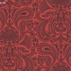 Обои Cole & Son Contemporary Selection