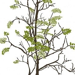 Обои Mr Perswall Urban Nature