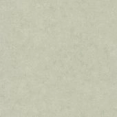 Обои Caselio Beton 2