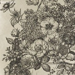 Обои Clarke & Clarke Floribunda