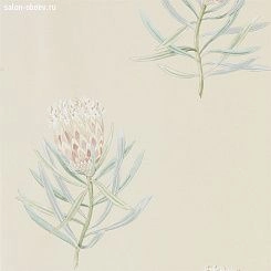 Обои Sanderson Art of the Garden