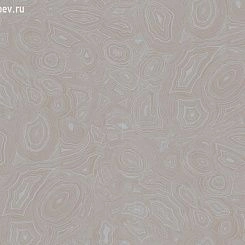 Обои Cole & Son Fornasetti Collection