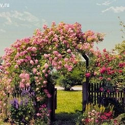 Обои KOMAR Фотообои