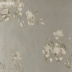 Обои Colefax and Fowler Celestine