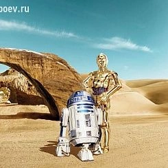 Обои KOMAR Фотообои