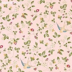 Обои Clarke & Clarke Wedgwood Botanical Wonders