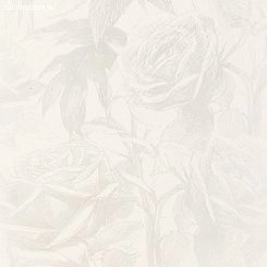 Обои Clarke & Clarke Floribunda