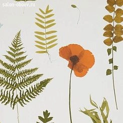 Обои Clarke & Clarke Botanica