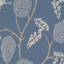 Обои Colefax and Fowler Celestine