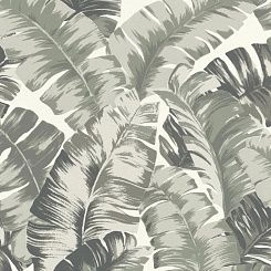 Обои Rasch Yucatan