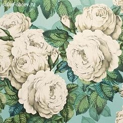 Обои John Derian Picture Book