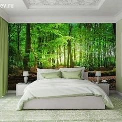 Фрески/Панно PINEGIN Лес и деревья