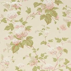 Обои Colefax and Fowler Jardine Florals
