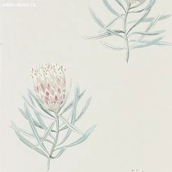 Обои Sanderson Art of the Garden