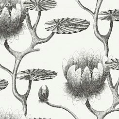 Обои Cole & Son Contemporary Restyled