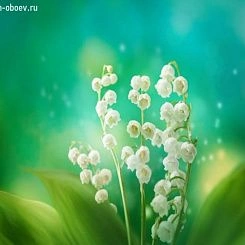 Фрески/Панно PINEGIN Цветы
